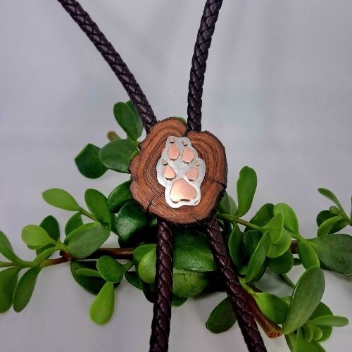 Home bolo tie 1
